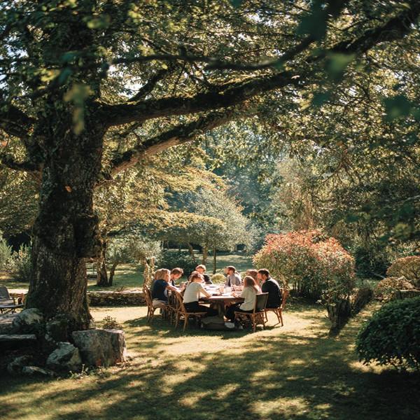 Organisation team building